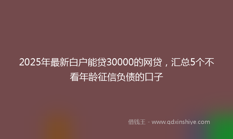 2025年最新白户能贷30000的网贷，汇总5个不看年龄征信负债的口子