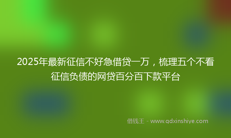 2025年最新征信不好急借贷一万，梳理五个不看征信负债的网贷百分百下款平台