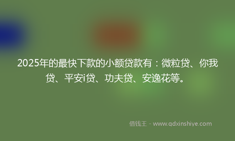 2025年的最快下款的小额贷款有：微粒贷、你我贷、平安i贷、功夫贷、安逸花等。