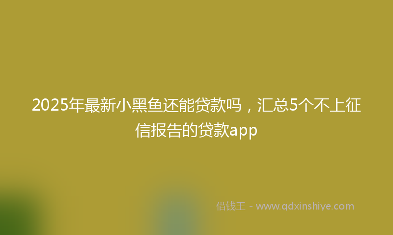 2025年最新小黑鱼还能贷款吗，汇总5个不上征信报告的贷款app