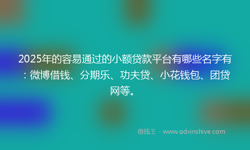 2025年的容易通过的小额贷款平台有哪些名字有：微博借钱、分期乐、功夫贷、小花钱包、团贷网等。