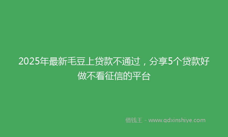 2025年最新毛豆上贷款不通过，分享5个贷款好做不看征信的平台