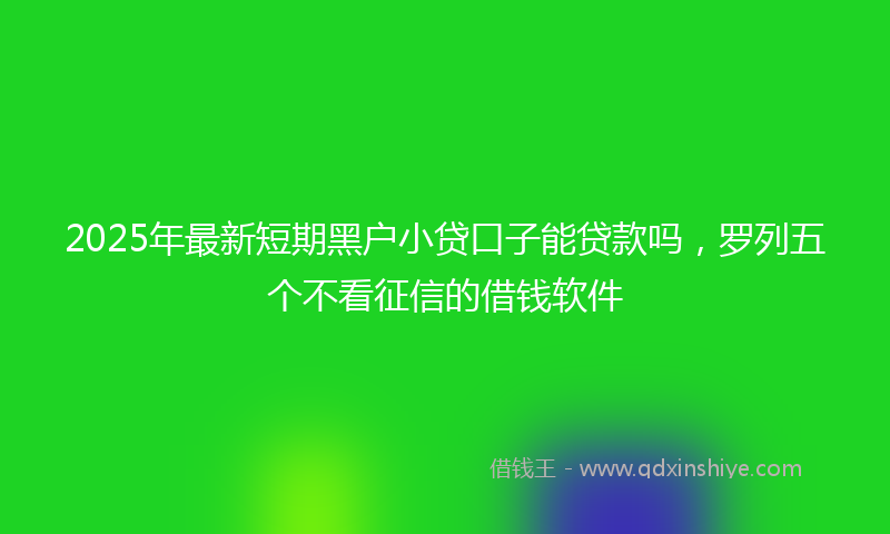 2025年最新短期黑户小贷口子能贷款吗，罗列五个不看征信的借钱软件