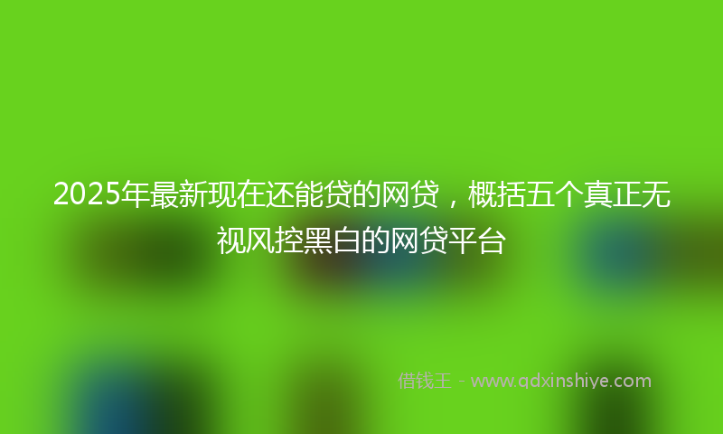2025年最新现在还能贷的网贷，概括五个真正无视风控黑白的网贷平台