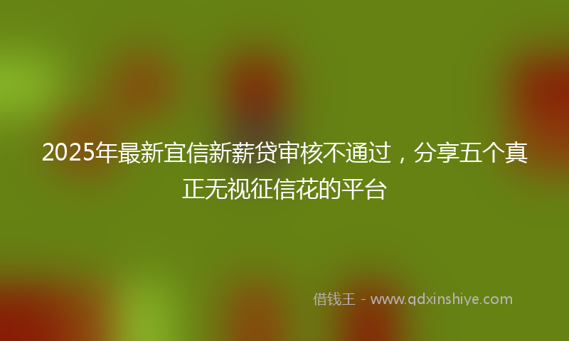 2025年最新宜信新薪贷审核不通过，分享五个真正无视征信花的平台