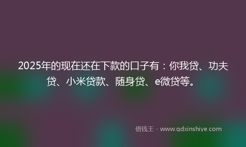 2025年的现在还在下款的口子有：你我贷、功夫贷、小米贷款、随身贷、e微贷等。