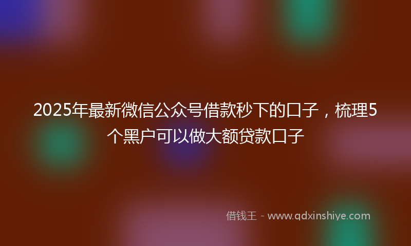 2025年最新微信公众号借款秒下的口子，梳理5个黑户可以做大额贷款口子