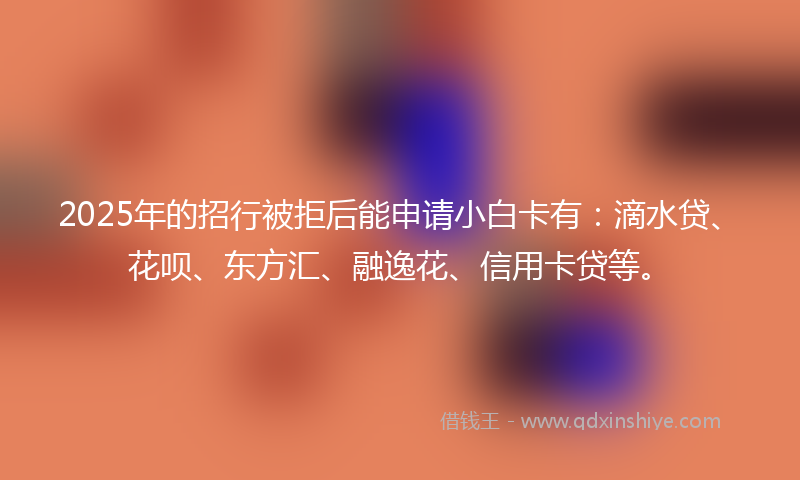 2025年的招行被拒后能申请小白卡有：滴水贷、花呗、东方汇、融逸花、信用卡贷等。