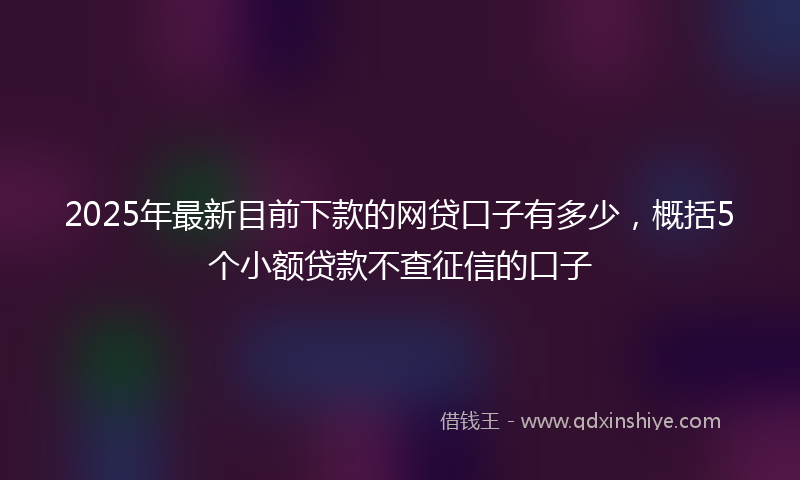 2025年最新目前下款的网贷口子有多少，概括5个小额贷款不查征信的口子