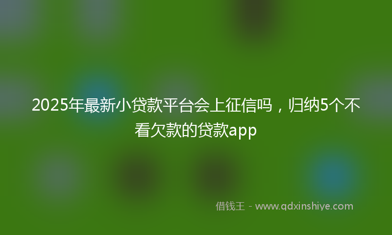 2025年最新小贷款平台会上征信吗，归纳5个不看欠款的贷款app