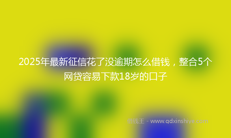 2025年最新征信花了没逾期怎么借钱，整合5个网贷容易下款18岁的口子