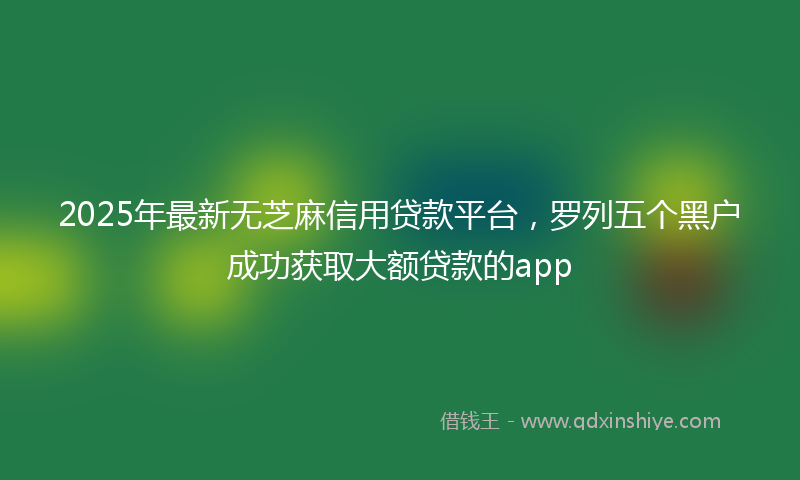 2025年最新无芝麻信用贷款平台，罗列五个黑户成功获取大额贷款的app