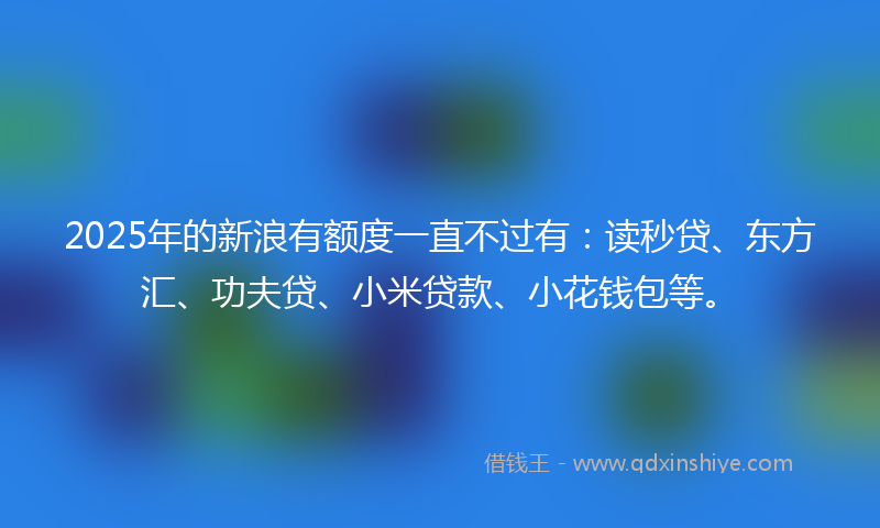2025年的新浪有额度一直不过有：读秒贷、东方汇、功夫贷、小米贷款、小花钱包等。