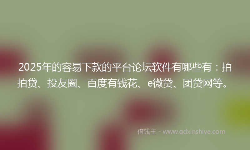 2025年的容易下款的平台论坛软件有哪些有：拍拍贷、投友圈、百度有钱花、e微贷、团贷网等。