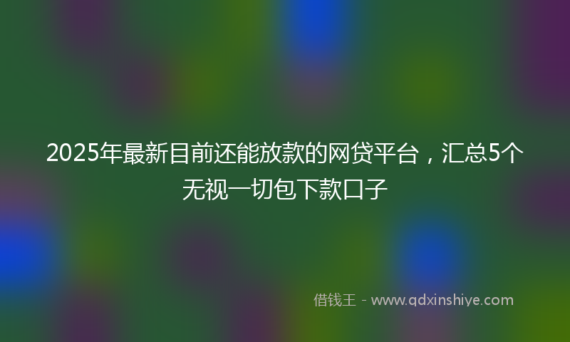 2025年最新目前还能放款的网贷平台，汇总5个无视一切包下款口子