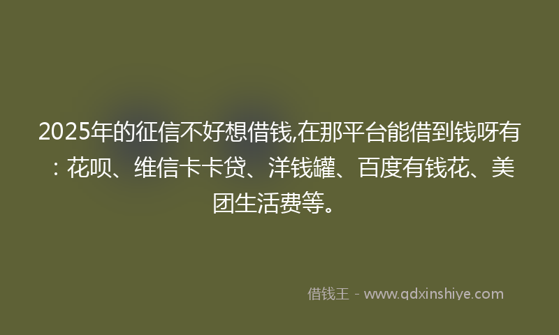 2025年的征信不好想借钱,在那平台能借到钱呀有：花呗、维信卡卡贷、洋钱罐、百度有钱花、美团生活费等。