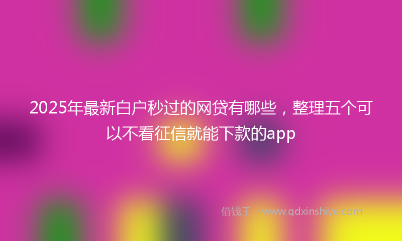 2025年最新白户秒过的网贷有哪些，整理五个可以不看征信就能下款的app
