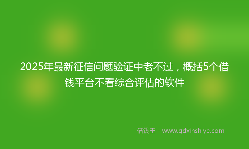 2025年最新征信问题验证中老不过，概括5个借钱平台不看综合评估的软件