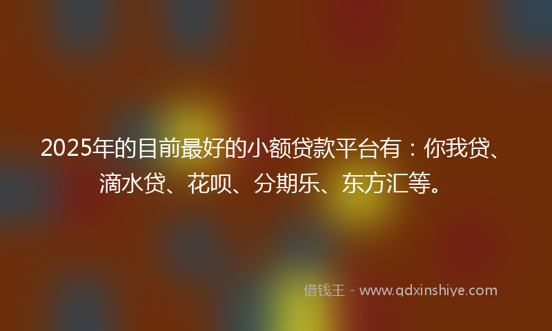 2025年的目前最好的小额贷款平台有：你我贷、滴水贷、花呗、分期乐、东方汇等。