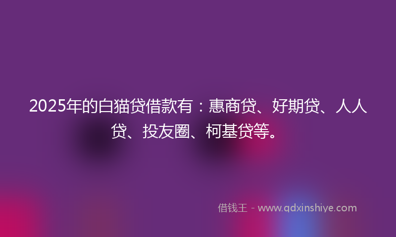 2025年的白猫贷借款有：惠商贷、好期贷、人人贷、投友圈、柯基贷等。