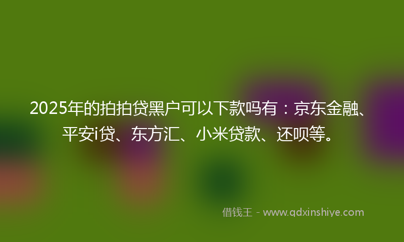 2025年的拍拍贷黑户可以下款吗有:京东金融、平安i贷、东方汇、小米贷款、还呗等。