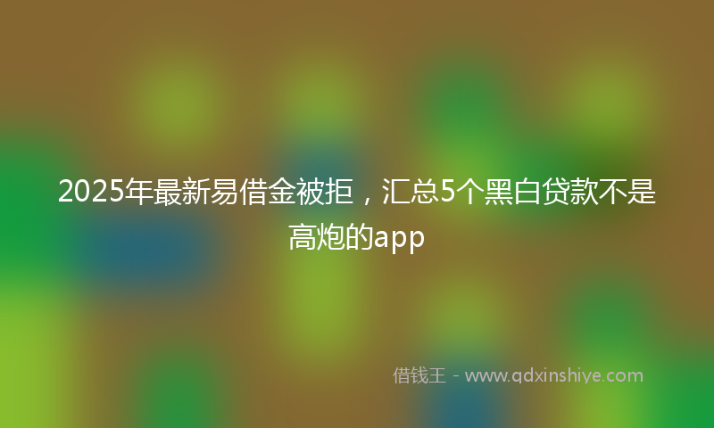 2025年最新易借金被拒，汇总5个黑白贷款不是高炮的app