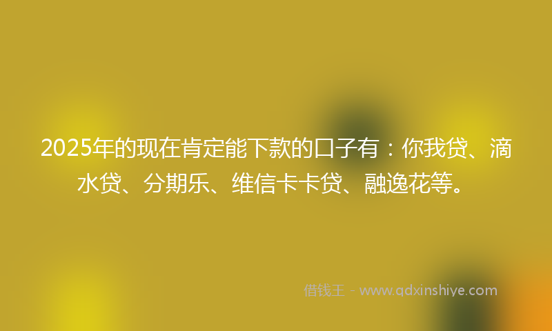 2025年的现在肯定能下款的口子有：你我贷、滴水贷、分期乐、维信卡卡贷、融逸花等。