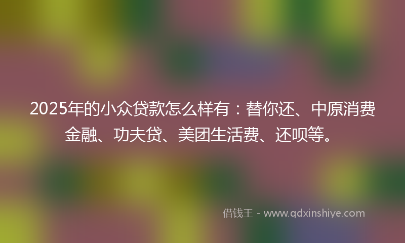 2025年的小众贷款怎么样有：替你还、中原消费金融、功夫贷、美团生活费、还呗等。