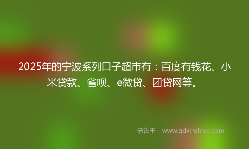 2025年的宁波系列口子超市有：百度有钱花、小米贷款、省呗、e微贷、团贷网等。