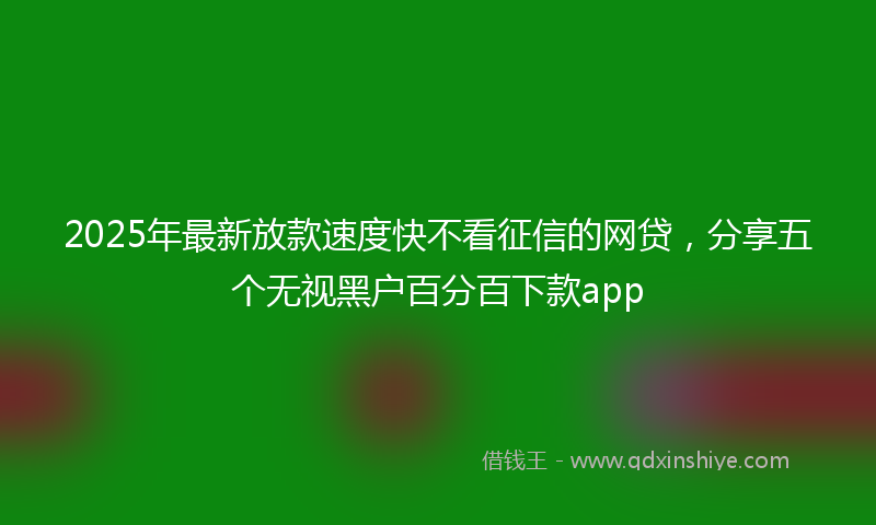 2025年最新放款速度快不看征信的网贷，分享五个无视黑户百分百下款app