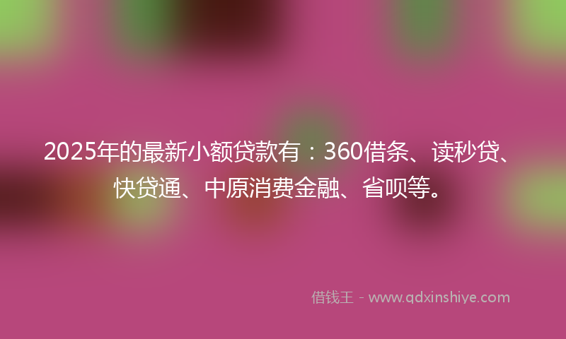 2025年的最新小额贷款有：360借条、读秒贷、快贷通、中原消费金融、省呗等。