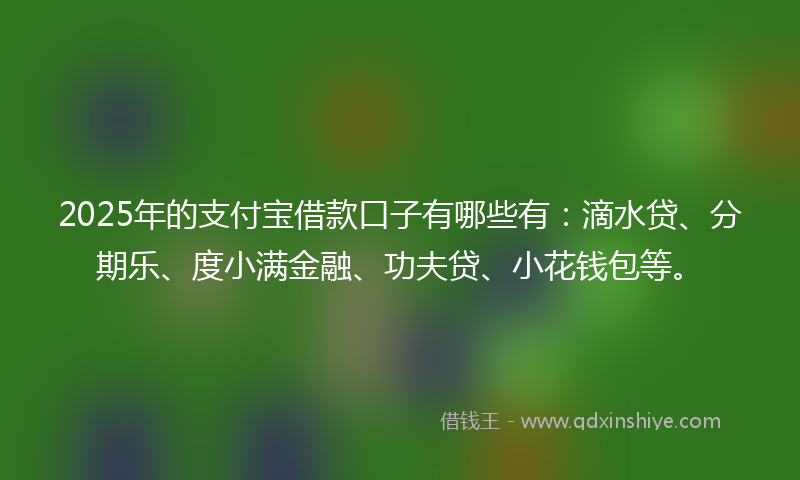2025年的支付宝借款口子有哪些有：滴水贷、分期乐、度小满金融、功夫贷、小花钱包等。