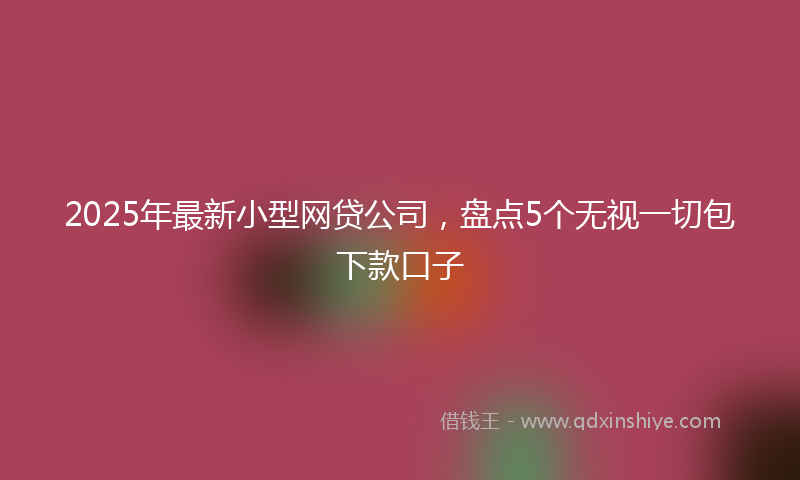 2025年最新小型网贷公司，盘点5个无视一切包下款口子