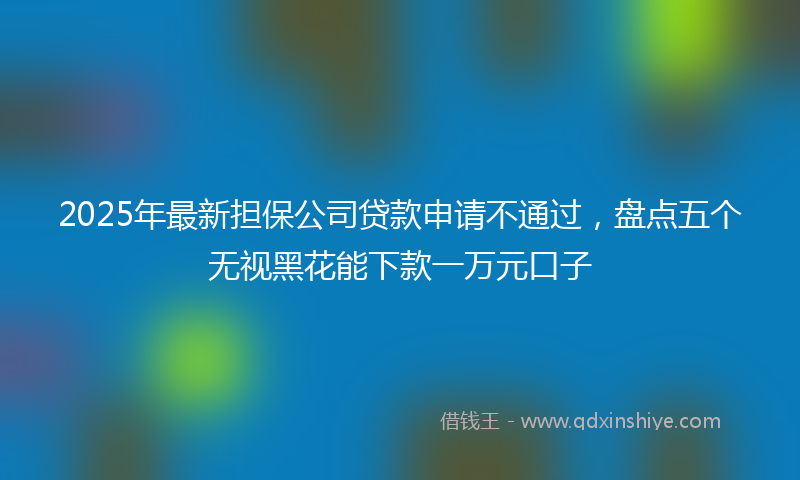 2025年最新担保公司贷款申请不通过，盘点五个无视黑花能下款一万元口子