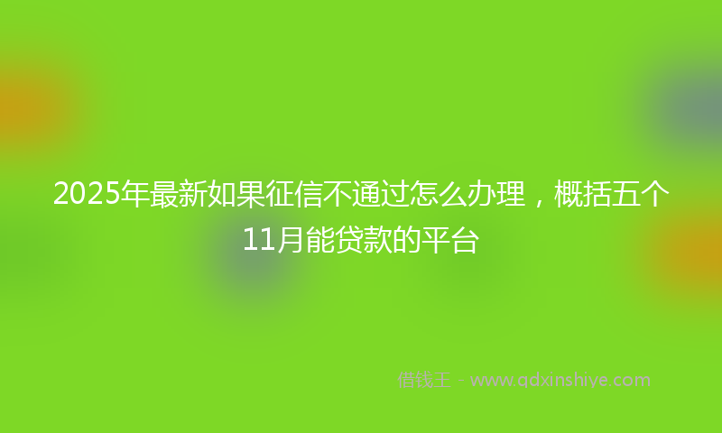 2025年最新如果征信不通过怎么办理，概括五个11月能贷款的平台