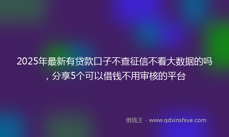 2025年最新有贷款口子不查征信不看大数据的吗，分享5个可以借钱不用审核的平台