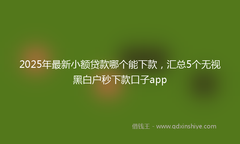 2025年最新小额贷款哪个能下款，汇总5个无视黑白户秒下款口子app