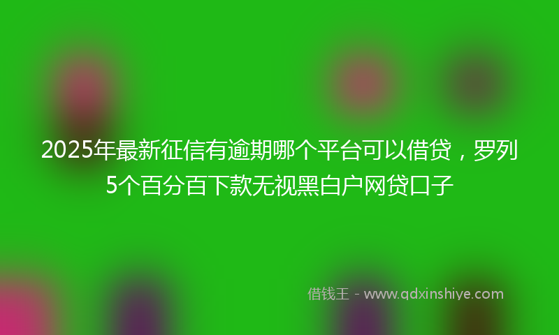 2025年最新征信有逾期哪个平台可以借贷，罗列5个百分百下款无视黑白户网贷口子