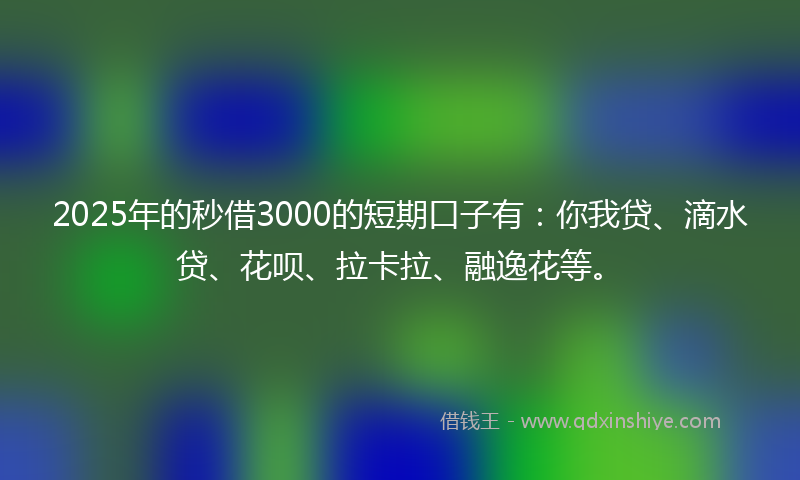 2025年的秒借3000的短期口子有：你我贷、滴水贷、花呗、拉卡拉、融逸花等。