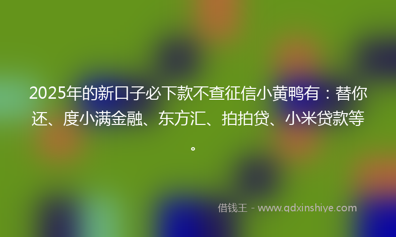 2025年的新口子必下款不查征信小黄鸭有：替你还、度小满金融、东方汇、拍拍贷、小米贷款等。