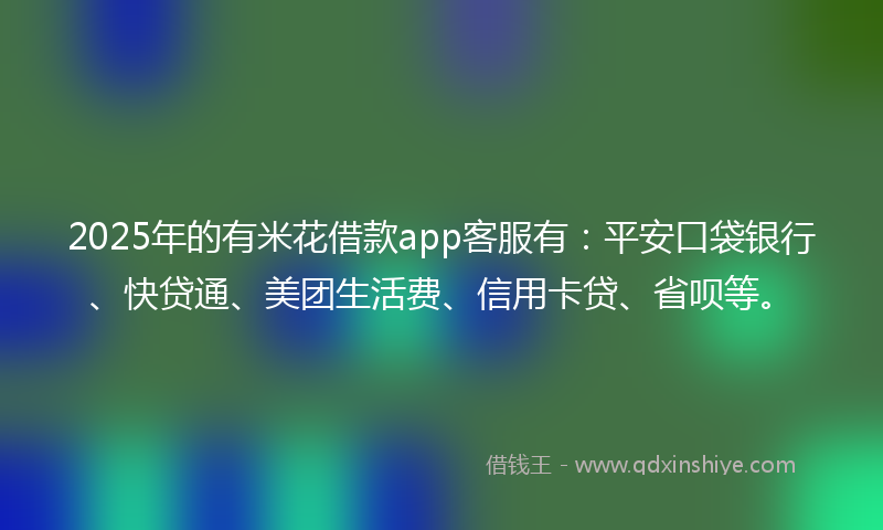 2025年的有米花借款app客服有：平安口袋银行、快贷通、美团生活费、信用卡贷、省呗等。