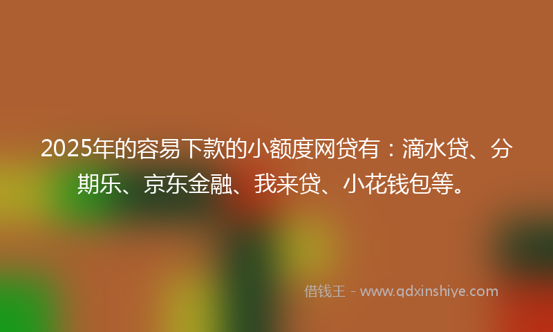 2025年的容易下款的小额度网贷有：滴水贷、分期乐、京东金融、我来贷、小花钱包等。