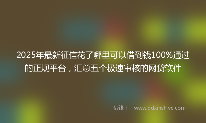 2025年最新征信花了哪里可以借到钱100%通过的正规平台，汇总五个极速审核的网贷软件
