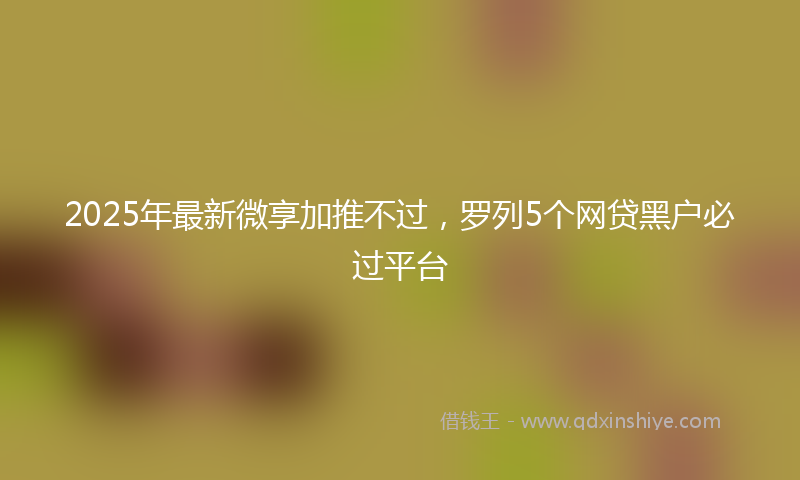 2025年最新微享加推不过，罗列5个网贷黑户必过平台
