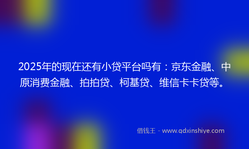 2025年的现在还有小贷平台吗有：京东金融、中原消费金融、拍拍贷、柯基贷、维信卡卡贷等。