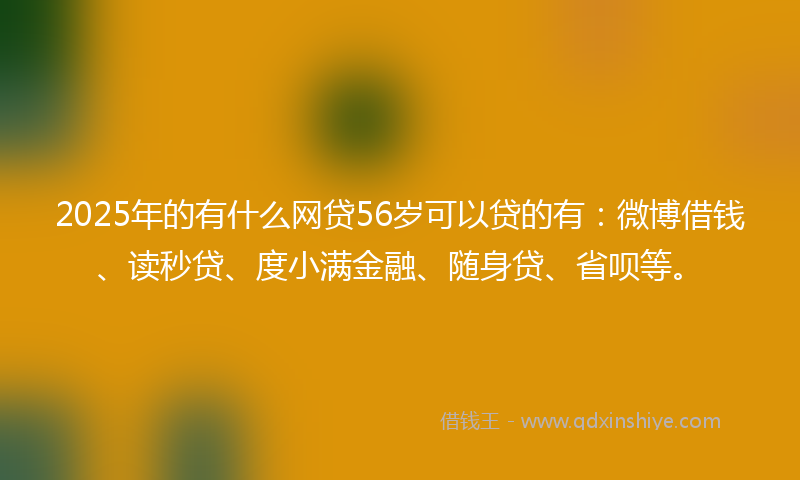 2025年的有什么网贷56岁可以贷的有：微博借钱、读秒贷、度小满金融、随身贷、省呗等。