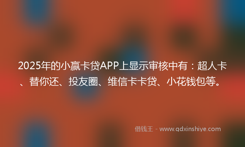 2025年的小赢卡贷APP上显示审核中有：超人卡、替你还、投友圈、维信卡卡贷、小花钱包等。