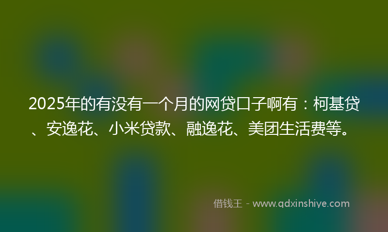 2025年的有没有一个月的网贷口子啊有：柯基贷、安逸花、小米贷款、融逸花、美团生活费等。