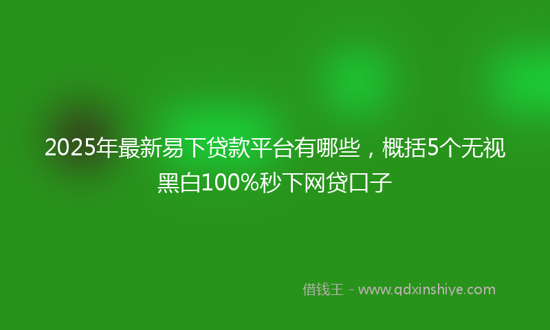 2025年最新易下贷款平台有哪些，概括5个无视黑白100%秒下网贷口子