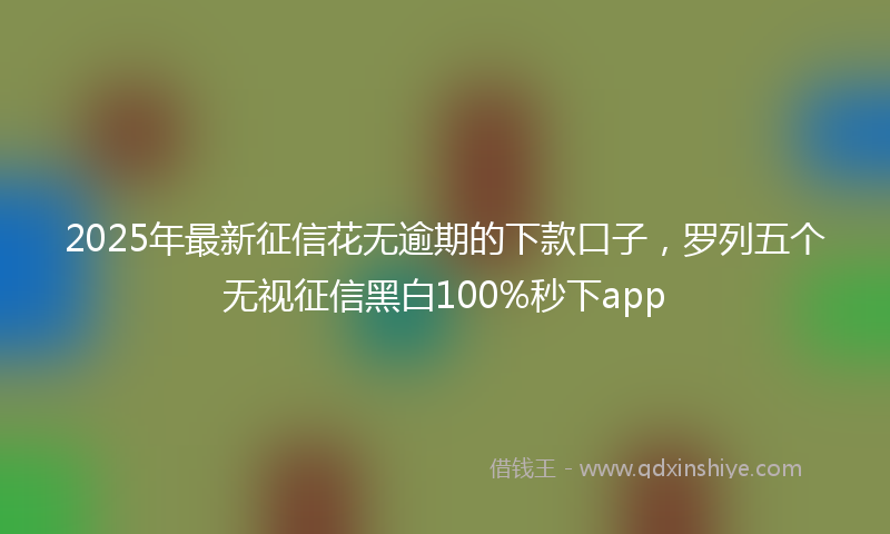2025年最新征信花无逾期的下款口子，罗列五个无视征信黑白100%秒下app